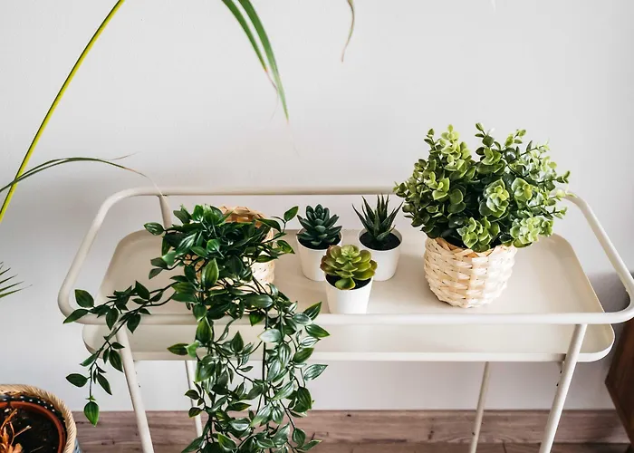 Garden - Loftaffair * كراكوفيا