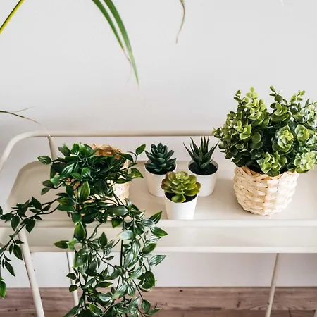 Garden - Loftaffair * Kraków